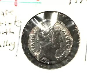 [} nhAkX 117-138 fiEX̊󏭕iAQt