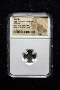 �E�B�h�E�Y �_�j �Ñ�R�C�� NGC �F�胆�_�� �v���^ (�I���O 103 �` 76 �N)
