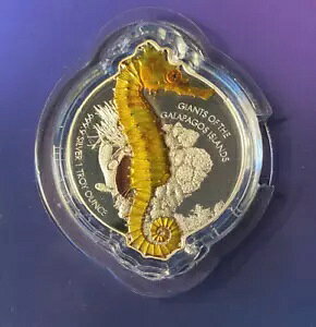 2020 V[z[X KpSX̋l 1IX Vo[ RC \ PAMP