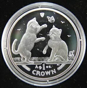 2004 } 1 IX Vo[ v[t 1 NE gLj[Y Lbg LgDY RC t +COA
