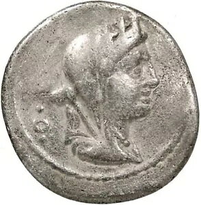 CYBELEArNg[EhCrOEMbsO 2 nԃ[}EfiEXERC t@rA 15