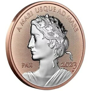 2023 �J�i�_���a $1 1 �I���X ���[�Y�S�[���h���b�L��� - �f���炵��!�W�F�� �v���[�t - FS