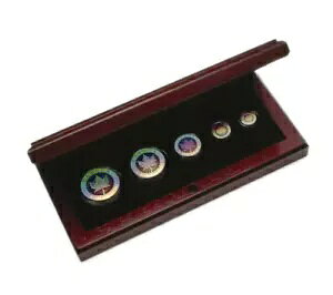 2003 - 15 周年記念シルバー メープル リーフ ホログラム セット - 5 コイン端数セット