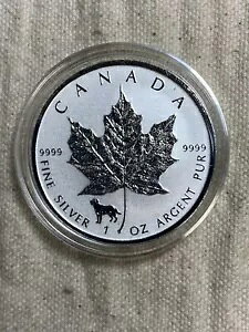 2018 JifBA [v 1 IX Vo[ o[X v[t [v [t RC Lunar Dog Privy