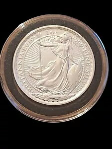 2019 �p���u���^�j�A��� BU .999 �t�@�C���V���o�[ 2 �|���h ��������