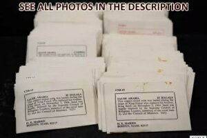 NobleSpirit (MM) 187x Retail Ready Coin Inventory �T�E�W�A���r�A 3 Values Gem BU