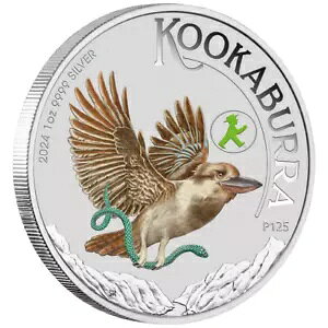 1 IX I[XgA݃CJZ~ - WMF x 2024 - J[