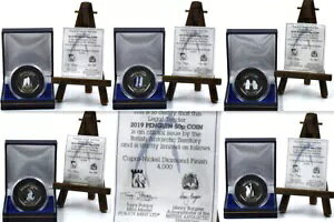 50p �R�C�� �y���M�� �R�C�� 2019 �A�f���[ �}�J���j �G���y���[ �`���X�g���b�v Gentoo �{�b�N�X + COA