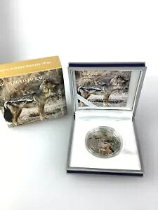 2012 �j�W�F�[�� 1000 �t���� 20 gr�B 925 �V���o�[ �W���b�J�� �v���[�t �R�C�� Canis Adustus-