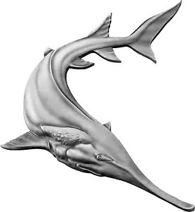 2023NtBW[sœzCg`EU1h