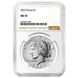 2023 $1 �s�[�X �V���o�[ �_���[ NGC MS70 �u���E�� ���x��