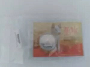 2017 I[XgA 1 IX Vo[ A[`[ ApC fBS tXebh !!