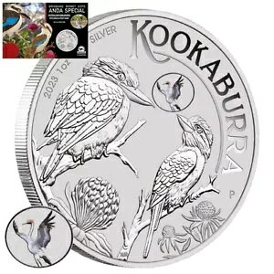 2023 �N�b�J�o�� �v���C�x�[�g�}�[�N�u�u�����K�N���j�b�`�v��� - �I�[�X�g�����A - 1�I���X ST-