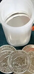 2015 1.5 IX 8 h Ji_݃VN}ƃJu 2 ̃bg