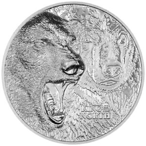 VN} Sb̉ Vo[ RC (2.) 2024 - NbN nC[t 1 IX PP-