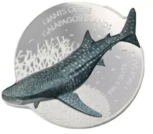 2021 \ KpSX̋l WxGU 1 IX Vo[ ~g  2500