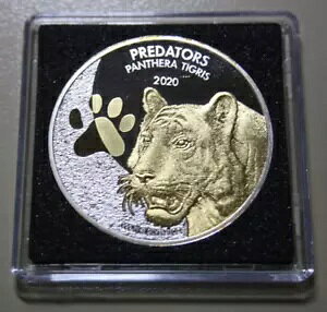 AtJ RS 20 t 2020 Vo[ 1IX uvf^[Y - pe[ `OXv #F6951-