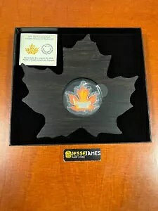 2016 $20 1IX Ji_ Vo[v[t Jtȃ[v[tA~gpbP[W