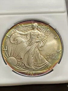 1993-P PCGS MS69 ܂ 70 Vo[ C[O $ !N₩Ő[g[̑f炵C{[