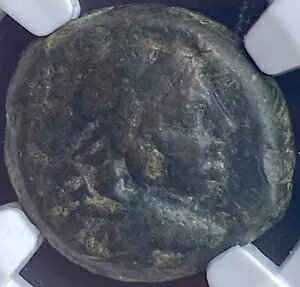 �M���V�� �Z���E�R�X�� NGC �F�� �I���O 138 �N - �I���O 129 �N �R�C�� �A���e�B�I�R�X 7 �� �G���X �C�V�X