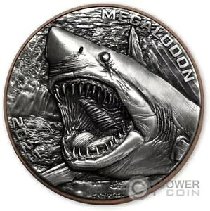 ���K���h�� �_�u�� �W���C�A���g �v���f�^�[�Y �V���o�[ �R�C�� 10 �o�c �o�k�A�c 2025