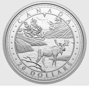 2024 Ji_ _X EH[^[Y O[g CNX [X $20 99.99% RC #0052