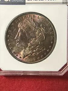 1888-P �����K�� �_���[ �����X�^�[ �g�i�[ ���A PC66 - ������ - �������R�C��!