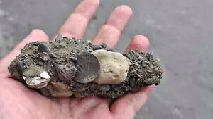 { Voc Duit 1742 I_ I_ j[[N yj[jD΃RC