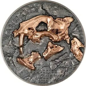 �����S�� 500 �g�O���b�O 2023 Evolution of Life Nimravidae 1 �I���X��� �v���[�t