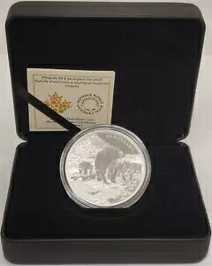 2023 カナダ $30 上質銀貨 多面動物科 ハイイログマ