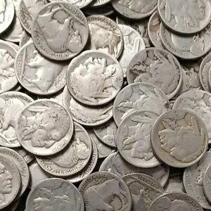 240 �o�b�t�@���[ �j�b�P�� P D S �~�b�N�X���t���\�[�g 6 ���[�� �p�[�V���� ���t�R�C�� ���b�g