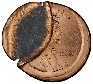 2000 1C J[ K͂ȃLmRl܂Lbvt_C~g G[ RC E7