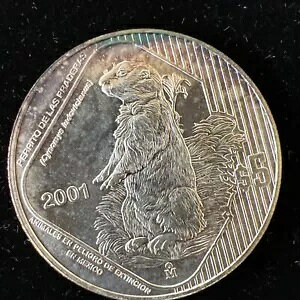 2001 ���L�V�R 5 �y�\ KM660