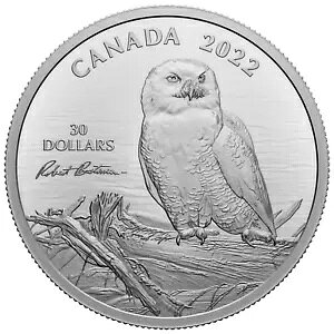 2022 Ji_ $30 ؂̃VtNE o[g xCg} 2 IX ㎿