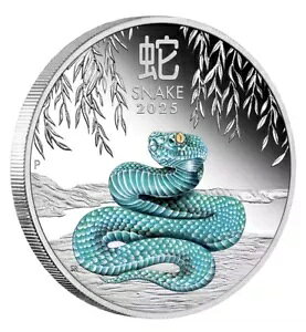 2025 h 1 NXl[N J[ 1 IX Vo[ v[t RC - ݌ɂAp[X!