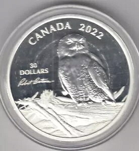 2022 Ji_ $30  - ؂̃VtNE