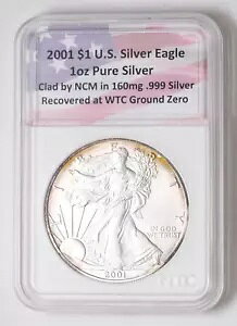 2001 N 1 IX̃AJ Vo[ C[O WTC OEh [ŉ܂