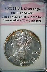 WTCOEh[ŉꂽ160MG .999Vo[NCMɂ2001NC[OVo[