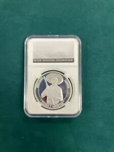 G~A[m Tp^ eBG C x^[h LVR.999 Vo[ Eh / 1 IX sA Vo[