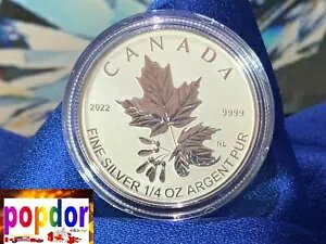2022 ???? �J�i�_ $3 - 1/4 �I���X �s���A �V���o�[ ���[�v�� ���[�t �O���b�^�[ ���f�B�A���g �N���E��-