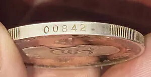 1987-1988 }CPEW[_B 1IX̃Vo[nEh;t@EAEgȂł