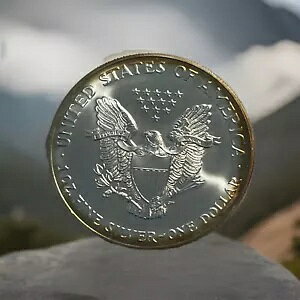 2001 $1 AJ Vo[ C[O g[ 1 gCIX 0.999 