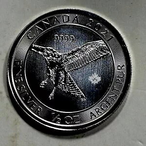 2021 Ji_ 1/2 IX .9999 Vo[ bhIIz[N ACe 6453