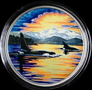 2017 Ji_ 2 IX t@C Vo[ v[t O[C_[N $30 RC - In The Moonlight Orcas