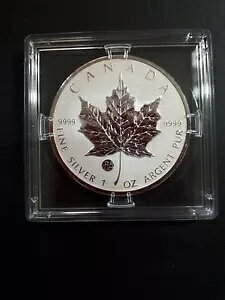 2011 $5 Ji_ o[X v[t F15 vCx[g Vo[ [v [t SML RC AłB