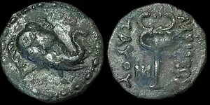 �C���h �X�L�^�C�����A�e�g���J���R�� - MAUES 125 - BC85 ���A