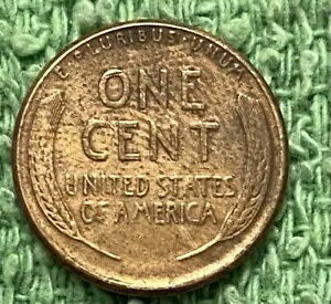 1925-S �����J�[�� �Z���g - �f�G�ȍ����R�C�� #0029