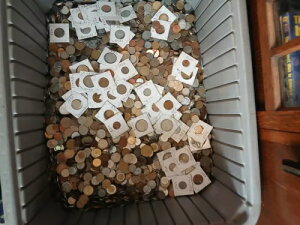 200 ̐EORC }l[ l_ ܂܂ȊzʃTCỸbg