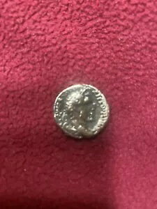 �Ñネ�[�}�A���[�} �f�i���E�X 3.1g