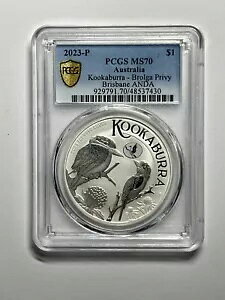 2023 ANDA uXx }l[ GLX| NbJu 1 IX Vo[ BROLGA vCx[g }[NAMS70AGS